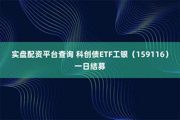 实盘配资平台查询 科创债ETF工银（159116）一日结募