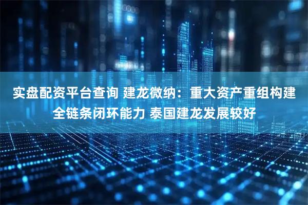 实盘配资平台查询 建龙微纳：重大资产重组构建全链条闭环能力 泰国建龙发展较好