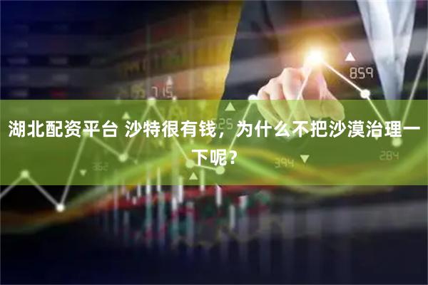 湖北配资平台 沙特很有钱，为什么不把沙漠治理一下呢？