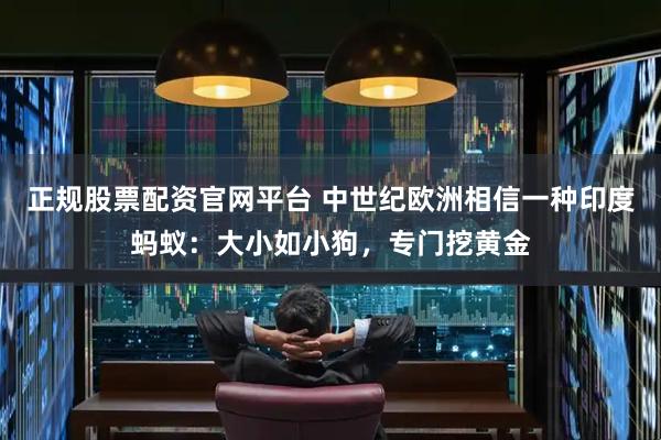 正规股票配资官网平台 中世纪欧洲相信一种印度蚂蚁：大小如小狗，专门挖黄金