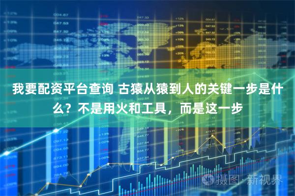 我要配资平台查询 古猿从猿到人的关键一步是什么？不是用火和工具，而是这一步